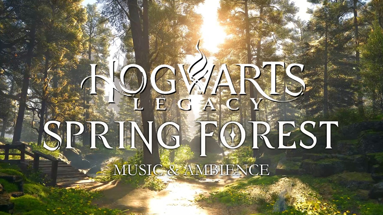 Spring Morning in The Forest  | Harry Potter Hogwarts Legacy Music and Ambience