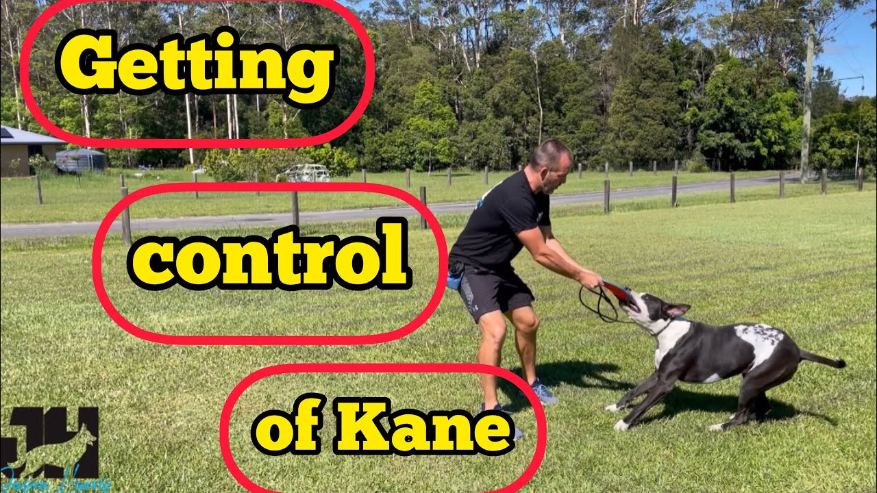 Getting control of Kane
