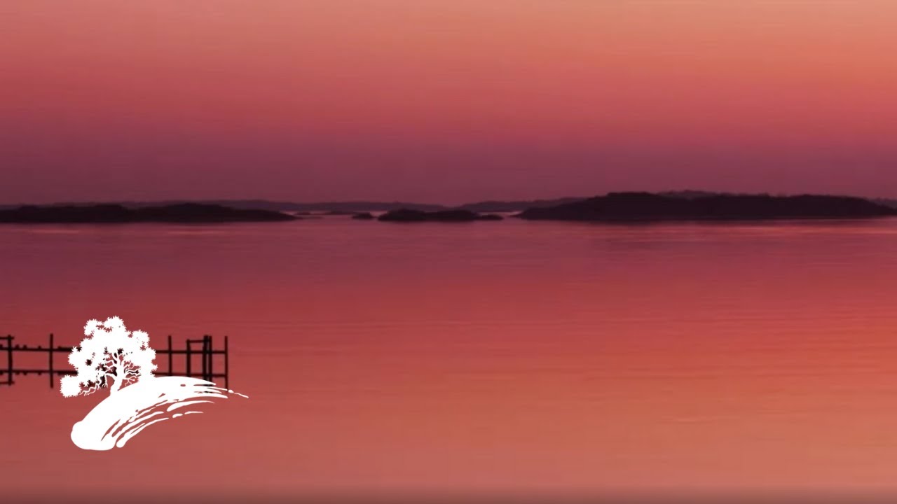 Denis Solee -  Romantic Sax [Visualizer]
