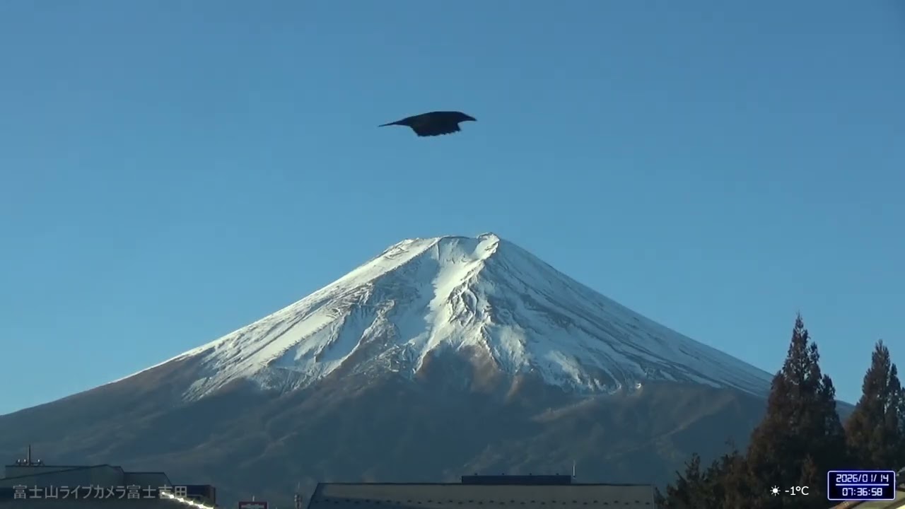 1月14日≪㊵分Timeラプス≫『富士山ライブカメラ富士吉田』