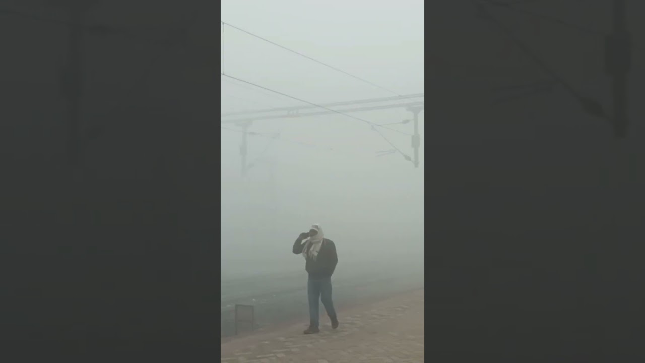 Dense fog in Supaul #supaulbihar #weather #mausam