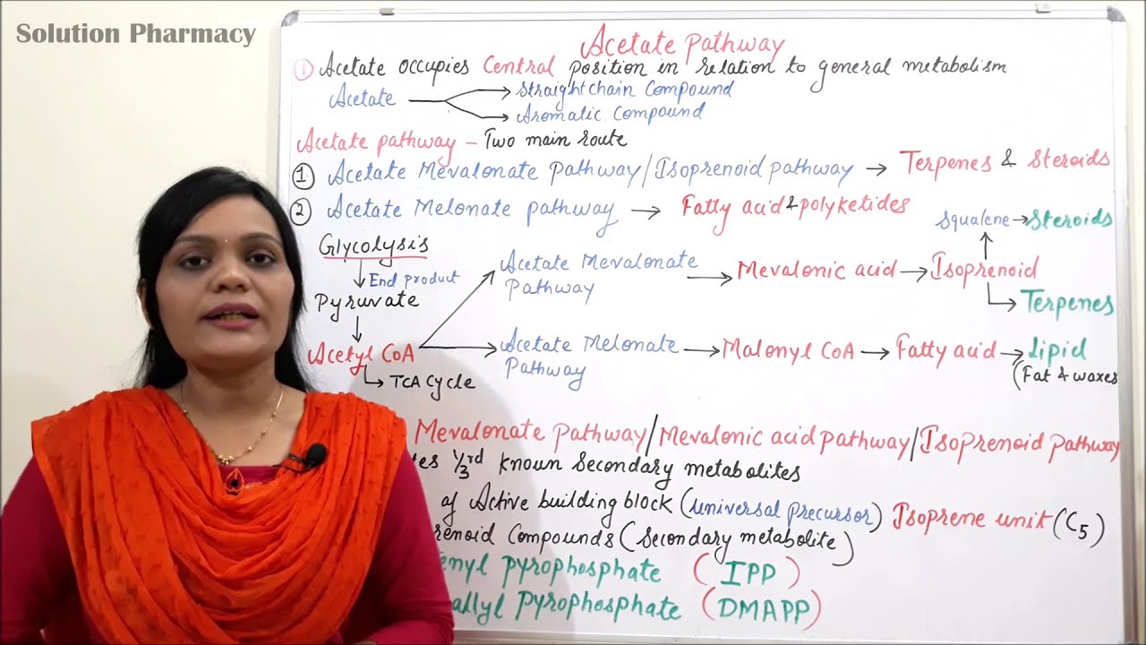 Class (04) = Acetate Pathway (Part 01) | Introduction to Acetate Mevalonate and Malonate Pathway