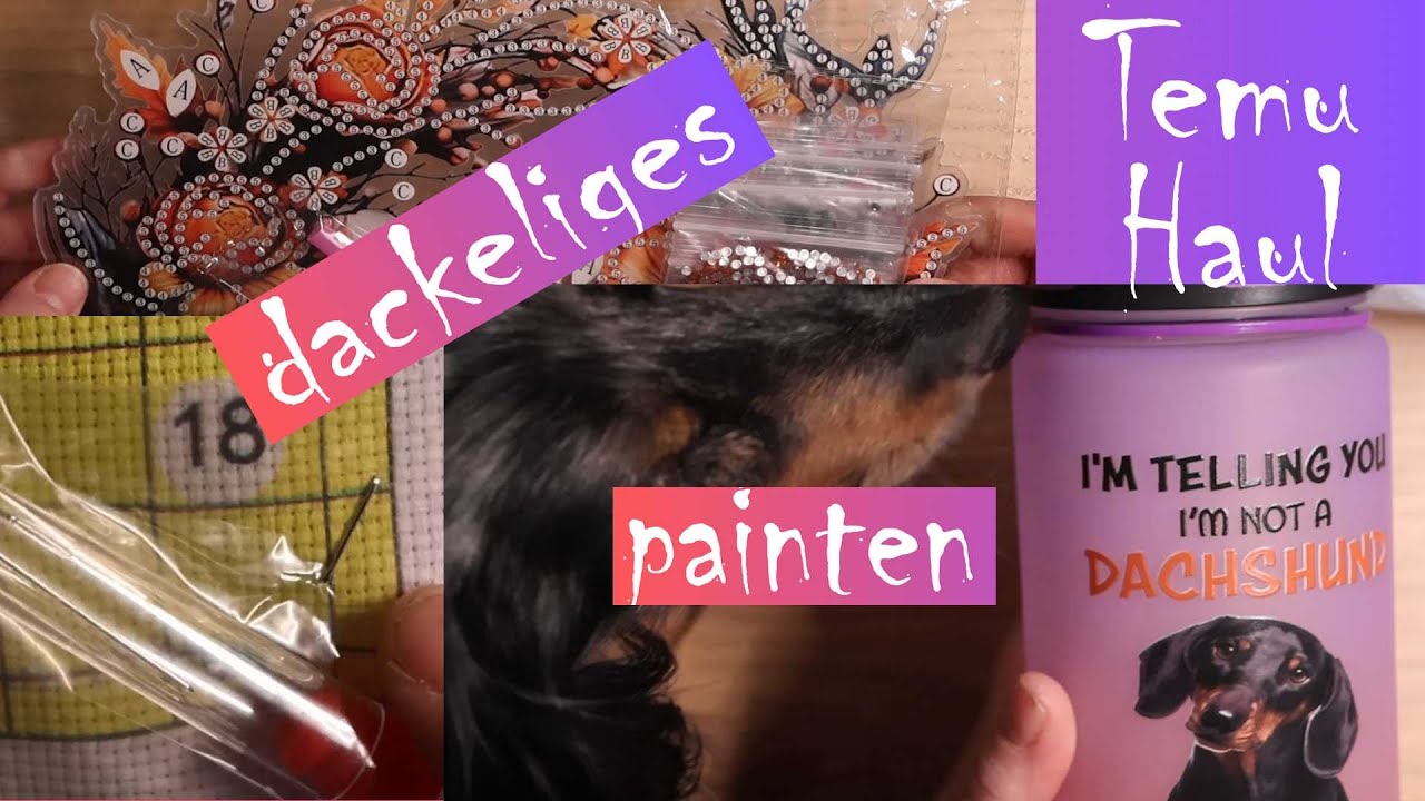 Temu Haul painten, sticken und dackelige Dinge