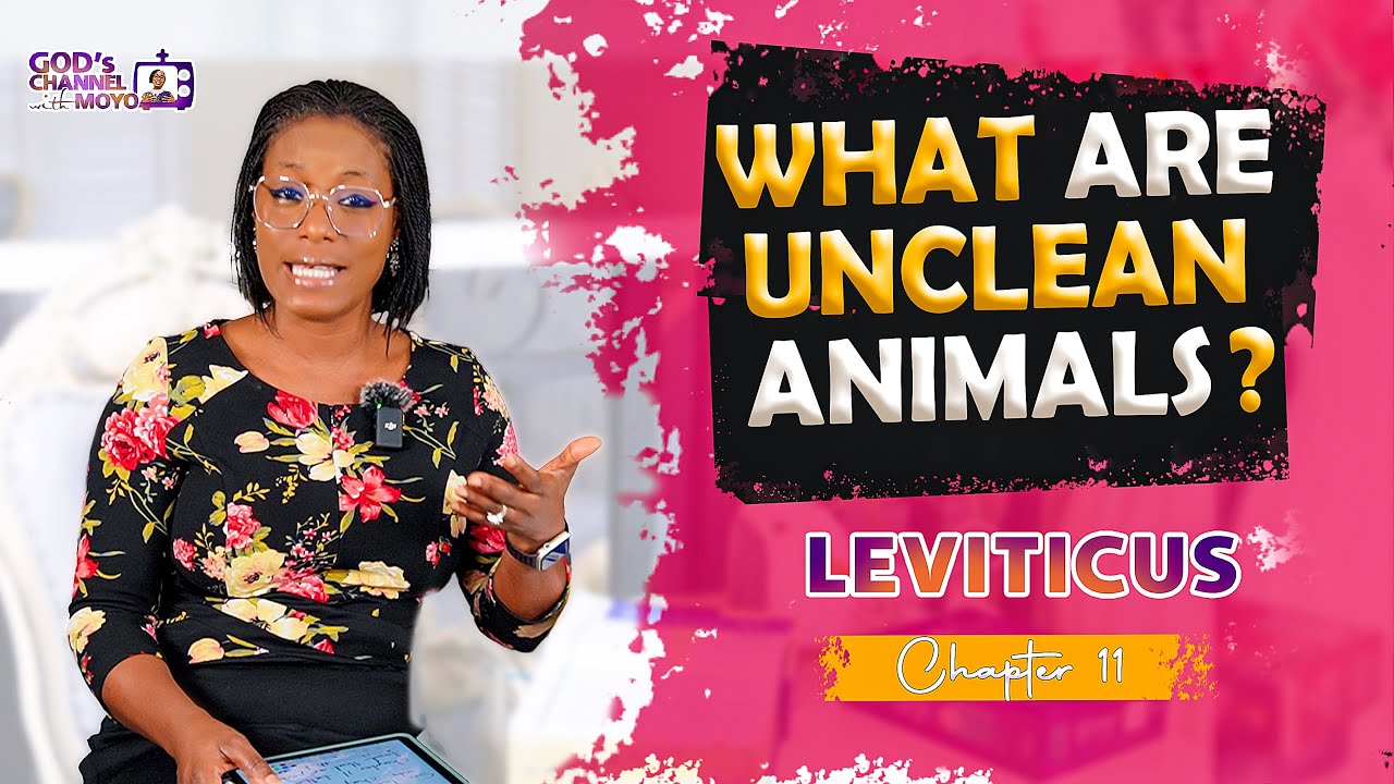 Cloven Hooves, Chewing Cub…CLEAN & UNCLEAN ANIMALS…What are all these? | Study on Leviticus 11 | ASL