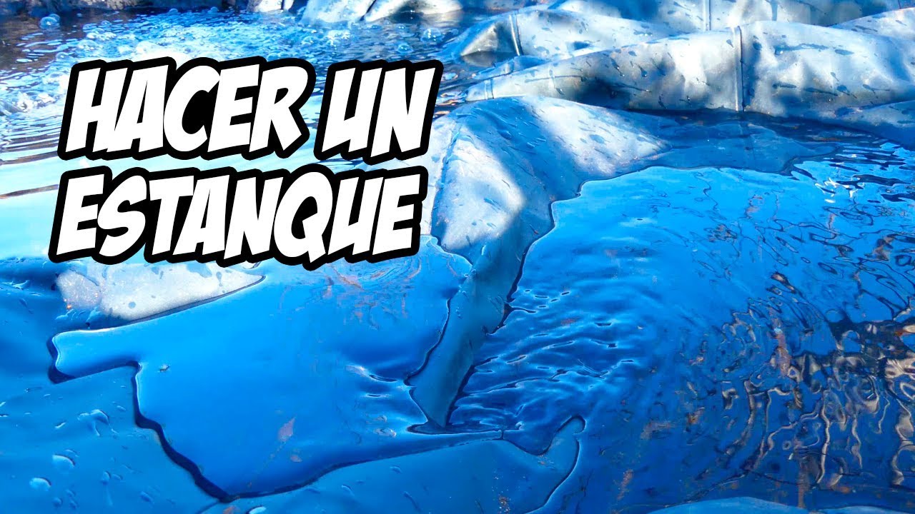 Como Hacer un Estanque Casero muy Fácil 🦈 Trucos y Consejos | La Huerta de Ivan