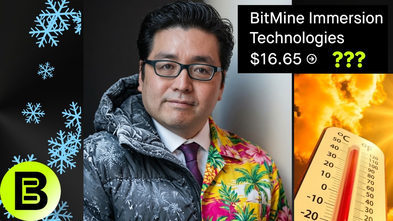 Оптимистичный сценарий для Bitmine (Обзор акций BMNR)