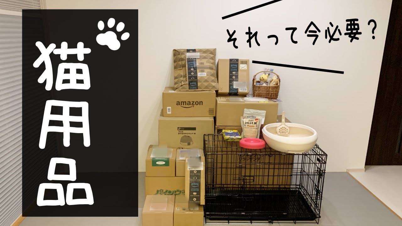 子猫をお迎えする前に準備して良かったもの、必要無かったもの【猫初心者】