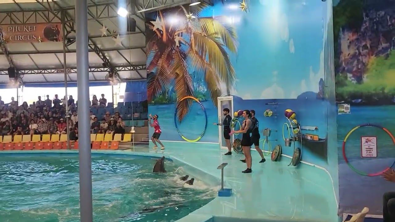크루즈여행 중