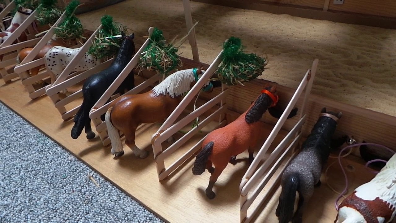 Visite du centre equestres schleich de la tete d'or