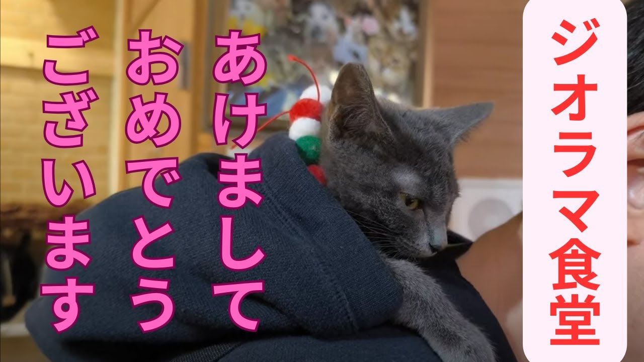 【こねこたちの卒園！】ジオラマ食堂を、今年もよろしくお願いします。