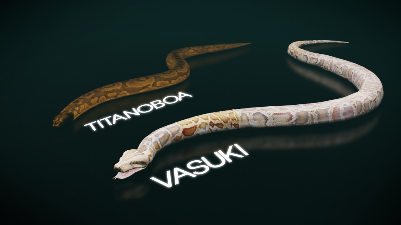 Титанобоа никогда не была самой большой змеей... А вот это &mdash; была