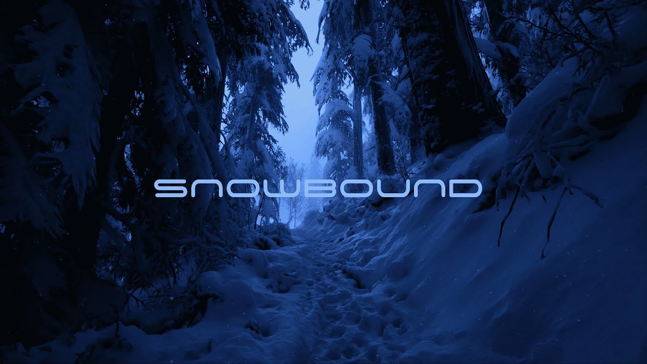 Snowbound Path | First Person Winter Ambience | Calm Focus Live