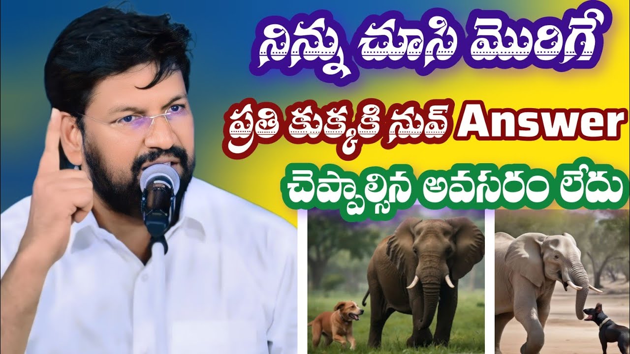 నిన్ను చూసి మొరిగే కుక్కకి నువ్ జవాబు చెప్పాల్సిన పని లేదు🙏| Shalem Anna Short Message |