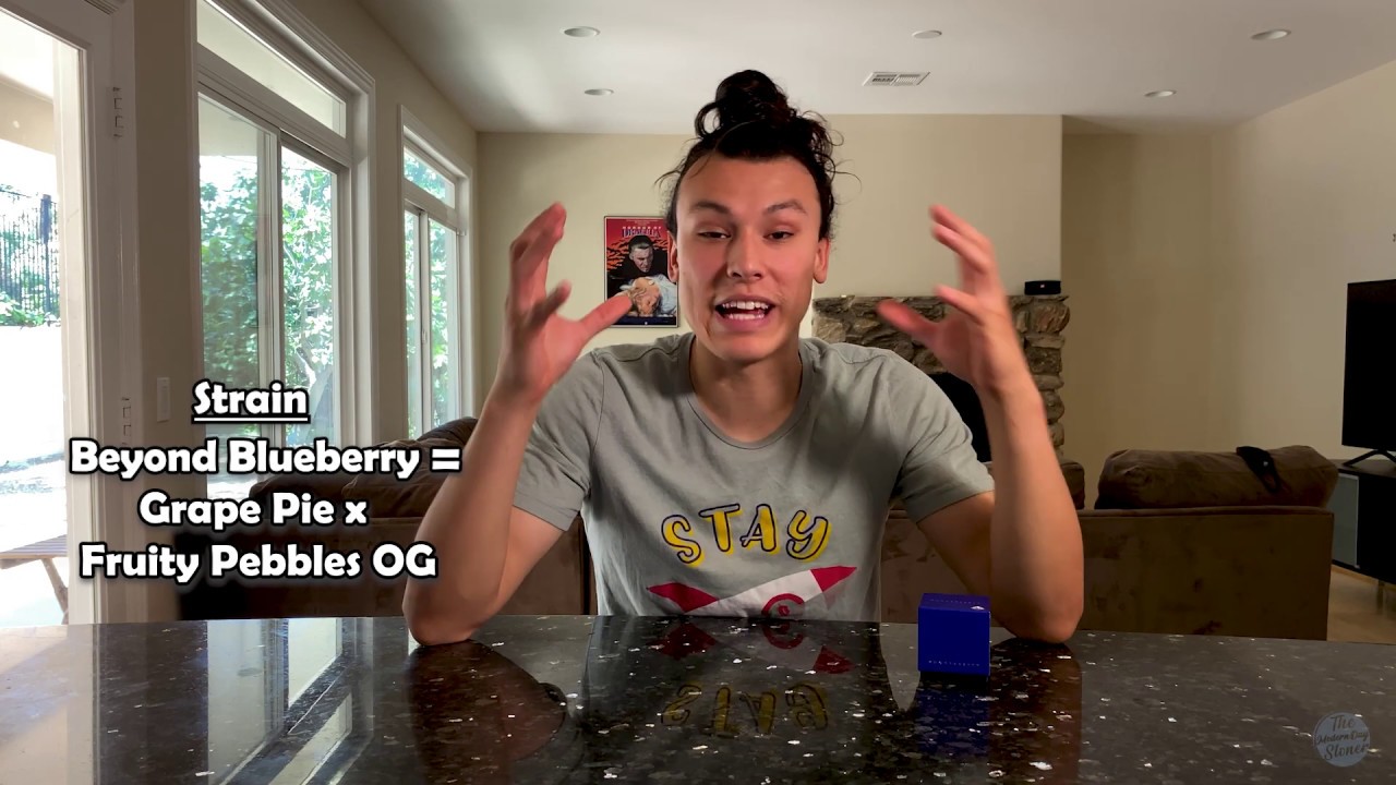 Brand Review - WonderBrett (BEYOND BLUEBERRY)
