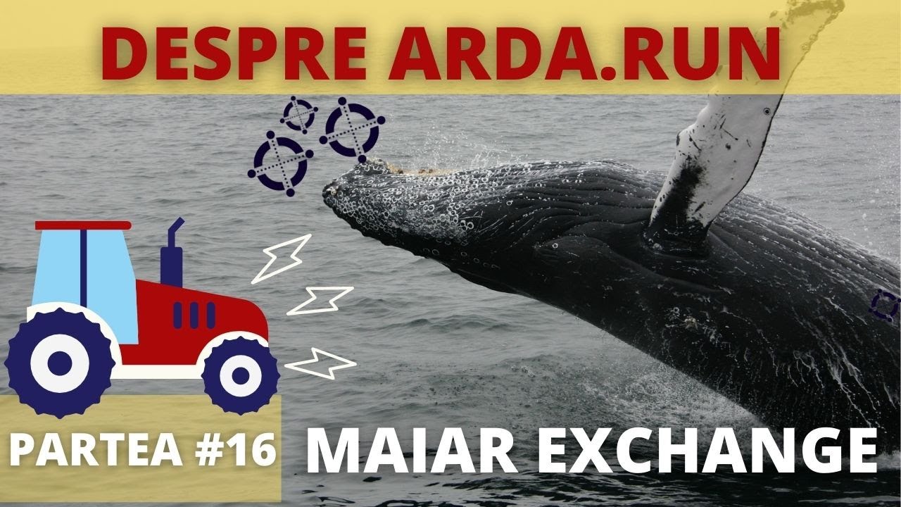 🐳✔️ Despre ARDA.RUN și operațiunile zilnice din Maiar DEX