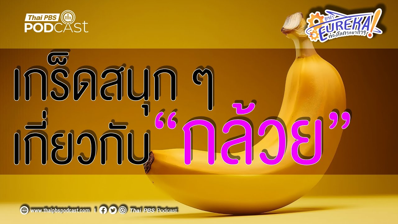 เกร็ดสนุก ๆ เกี่ยวกับ 