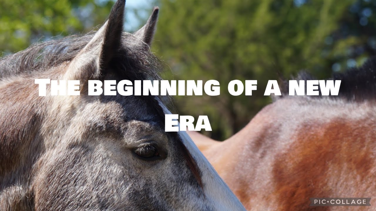 THE BEGINNING OF A NEW ERA | EPISODE 3