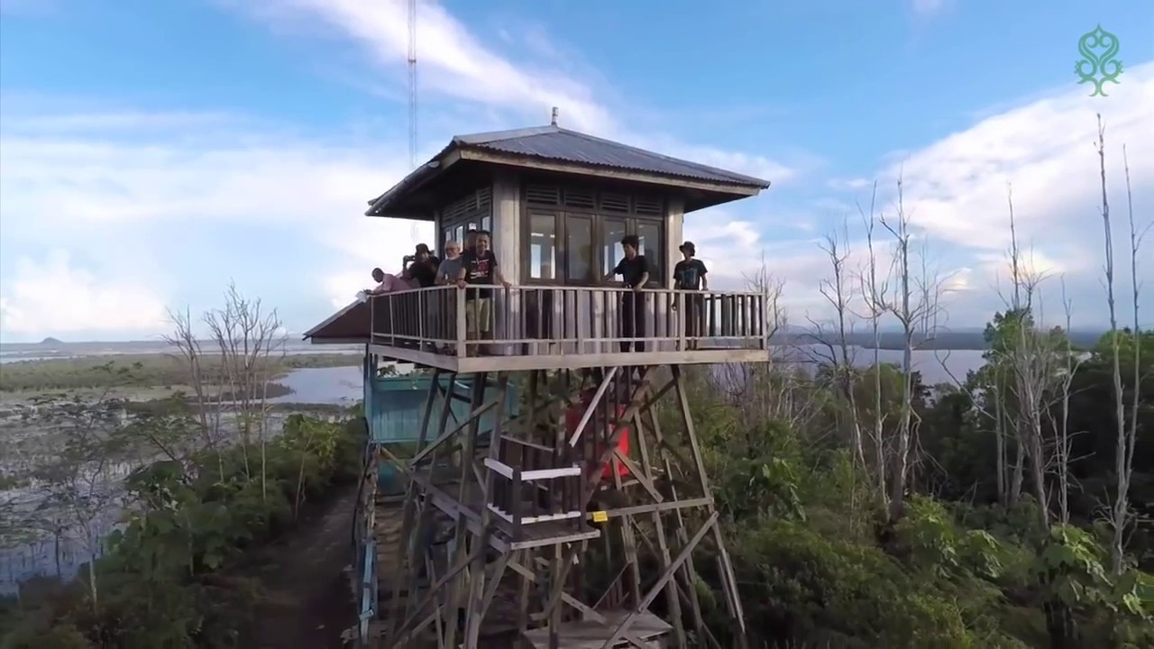 Bukit Tekenang Danau Sentarum National Park 