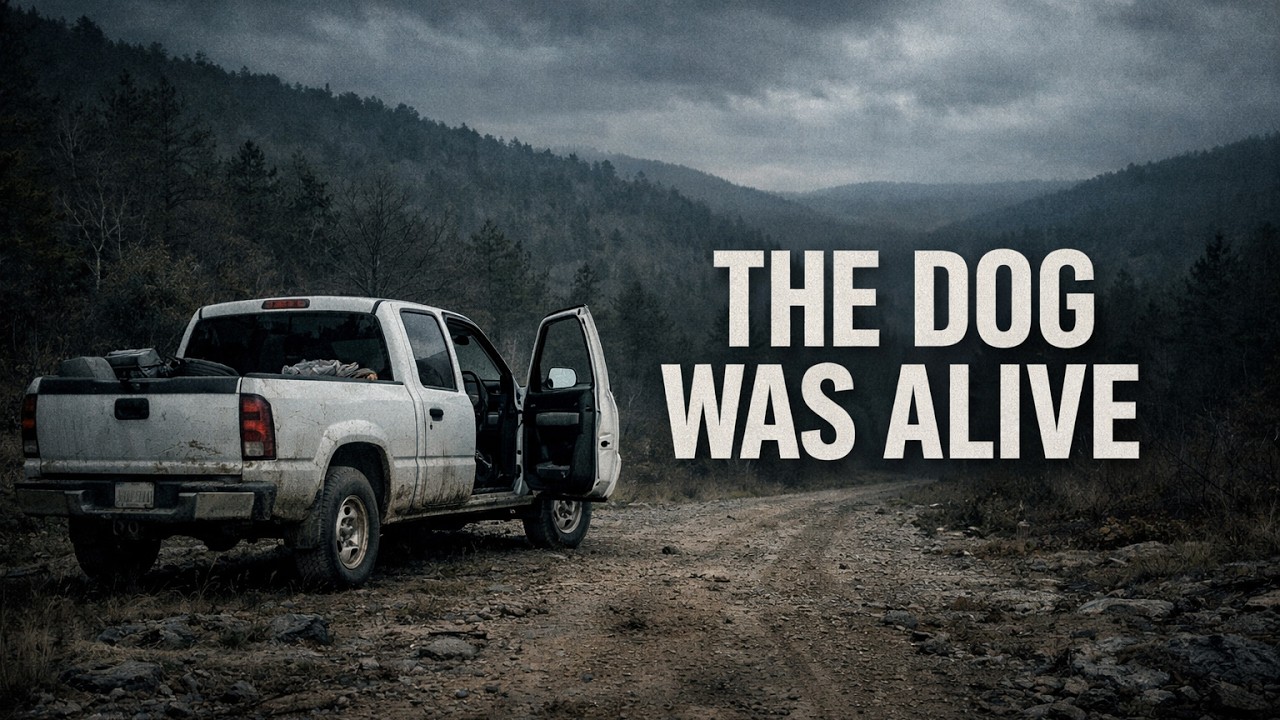 The Jamison Family: How Did a Family of 3 Vanish Into the Mountains?