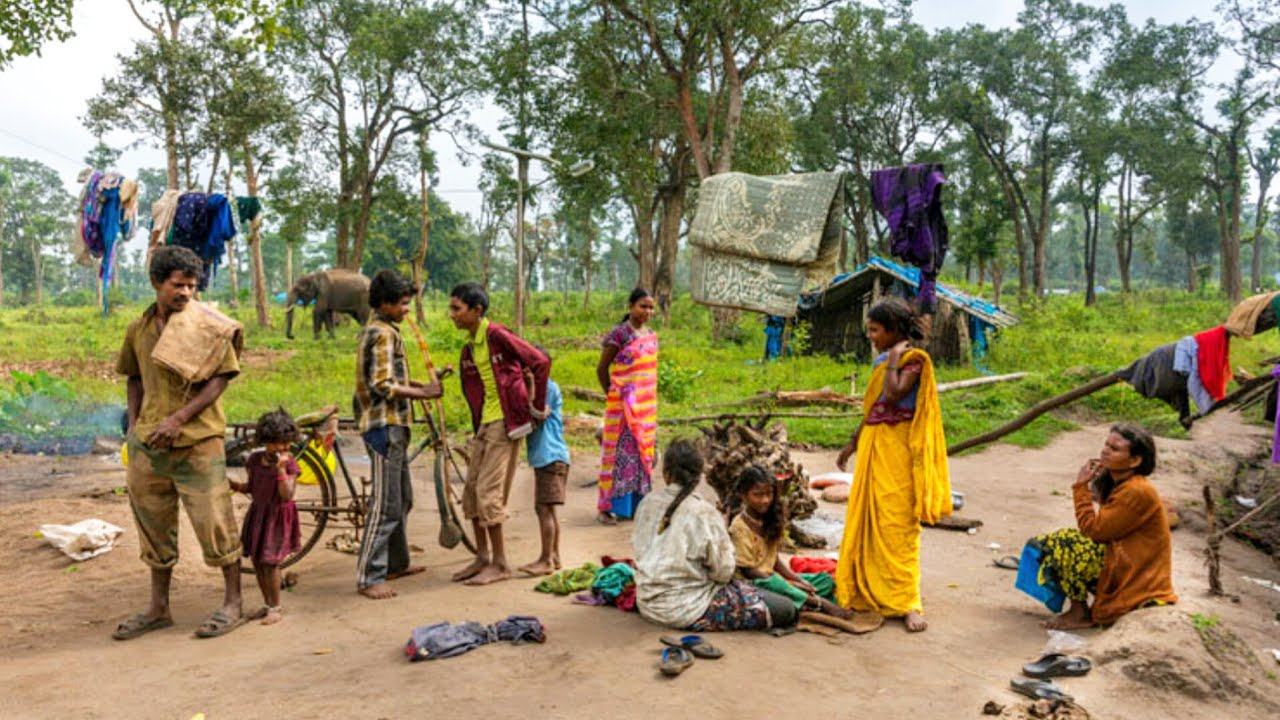Life Of Poor People In India, India In 2025, Odisha Tribal People, Life In India, Walking In India