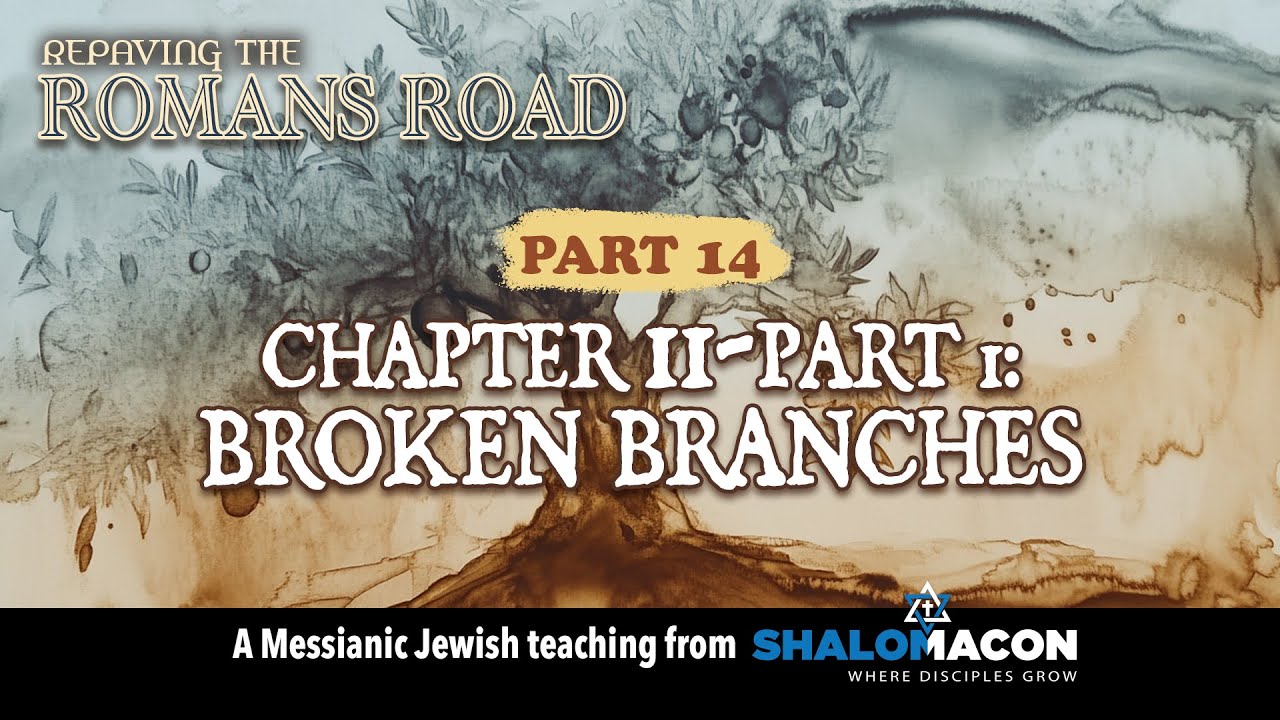 Did God Reject Israel? ✡️ The Truth About The Broken Branches In Romans 11 Part 14