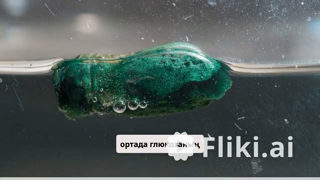 🌬️ Анаэробты vs Аэробты тыныс алу Тыныс алу түрлері: Жансыздан тіріге дейін! 🔬🧬