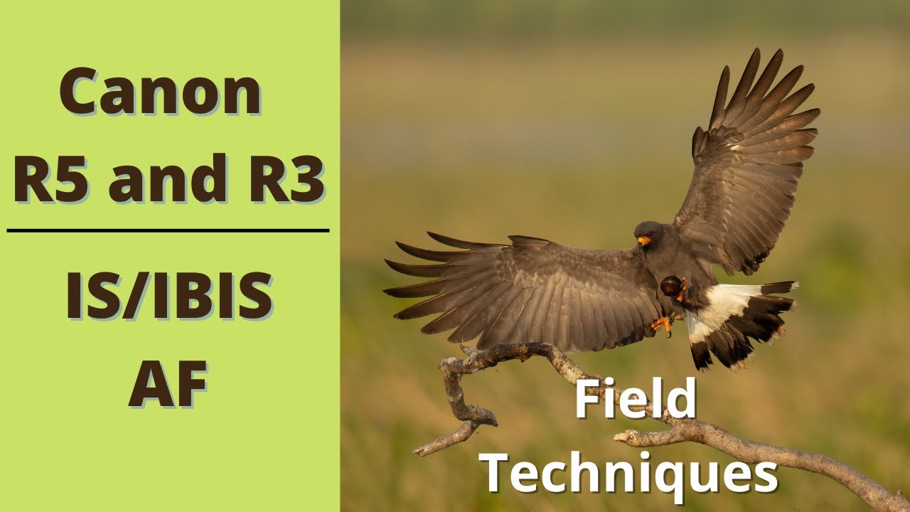 Canon R5 and R3 IS/IBIS and Auto Focus Field Techniques