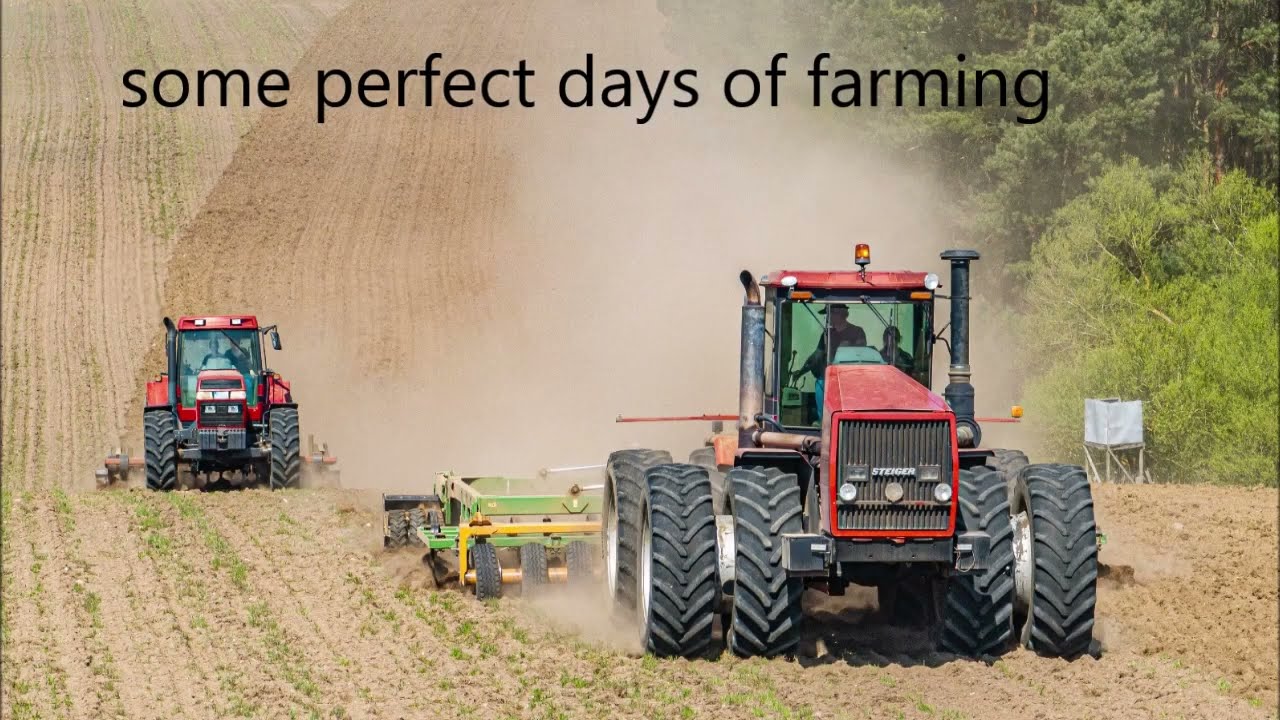 Case Steiger, Case Magnum, John Deere 7710 - Tillage and sowing in spring - Mecklenburg-Vorpommern