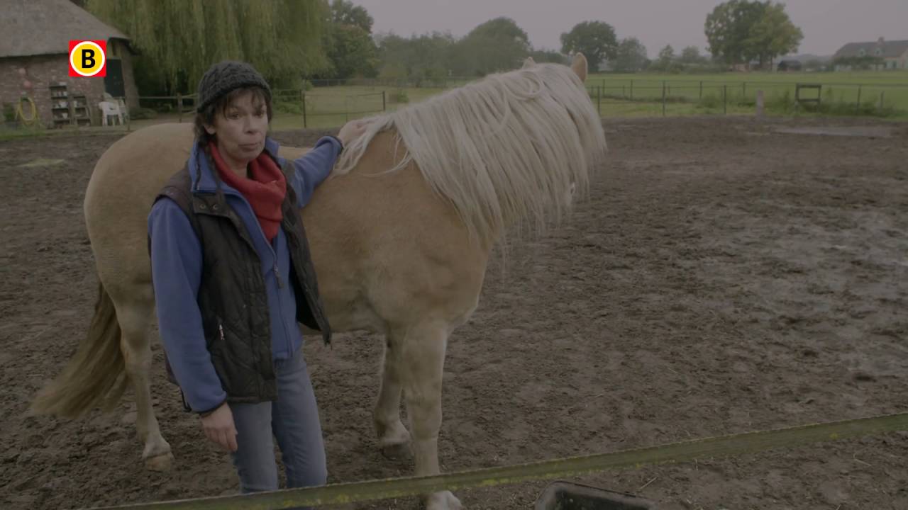 Zin in Brabant - Aflevering 7 - Sjamanisme, De Kraai die de zon raakte