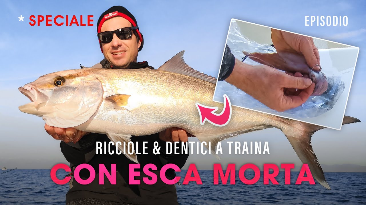 Pesca a TRAINA con Esca MORTA: Ricciole e Dentici » SPECIALE (E) @Trabucco Fishing​