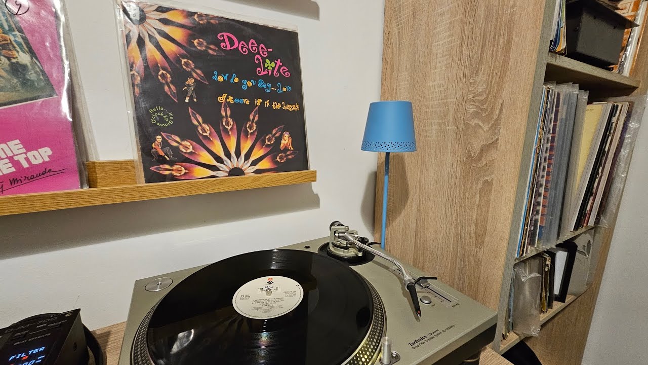 Deee - Lite - Groove Is In The Heart (Vinyl - Maxi Single) Classic House Year 1990