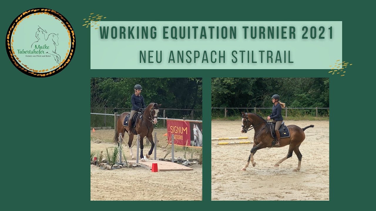 Working Equitation Stiltrail Klasse M in Neu Anspach