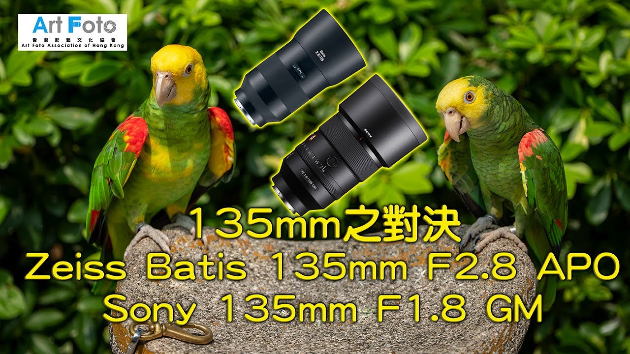 【攝影教學 #247】135mm 大光圈鏡頭比較 (Zeiss Batis 135mm F2.8 APO vs Sony 135mm F1.8 GM) - Alex Fung FRPS, GMPSA