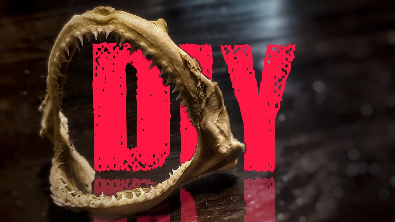 Do It Yourself Shark Jaws | Great Shark Trophy You Can Do Yourself!