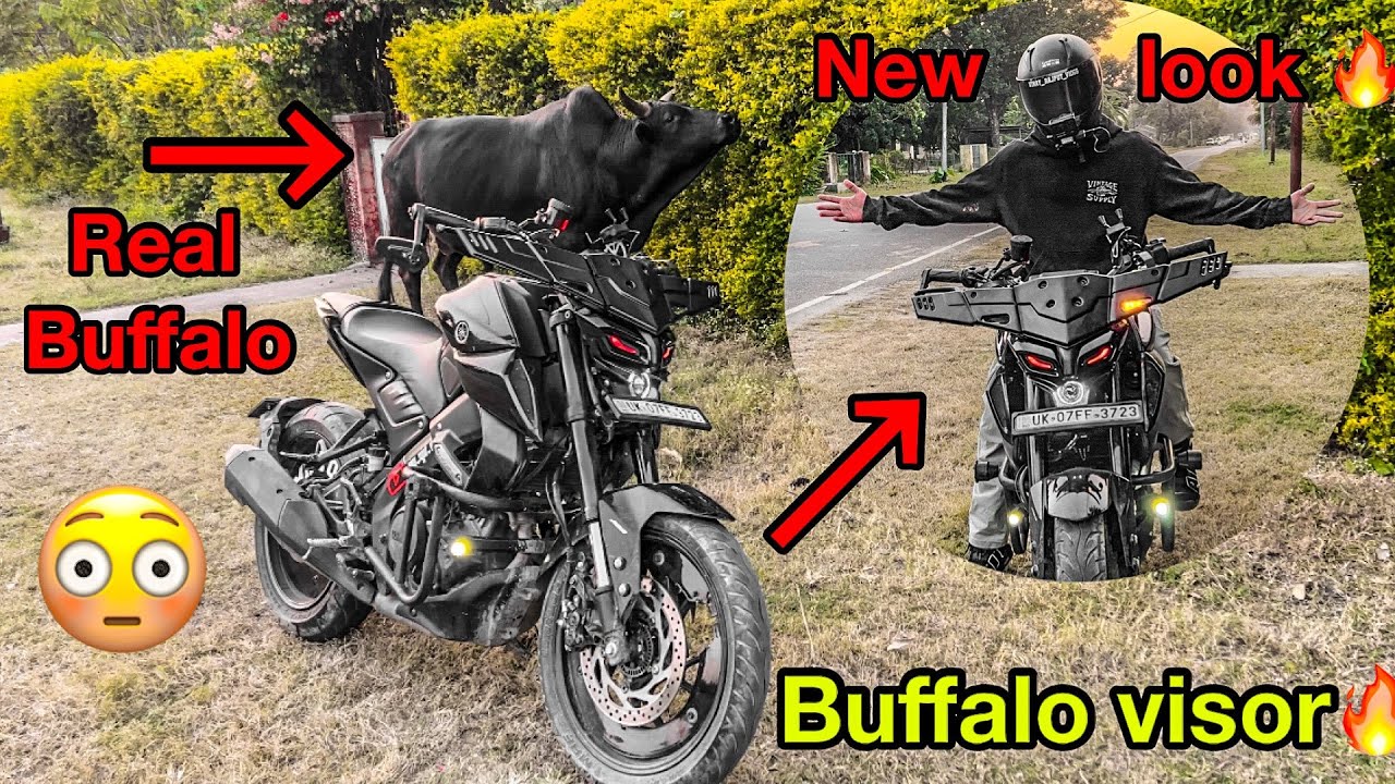 Yamaha MT 15 modification 😍 | buffalo visor new look 🔥