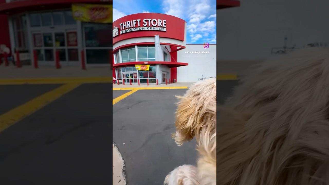 Сегодня вечером! 