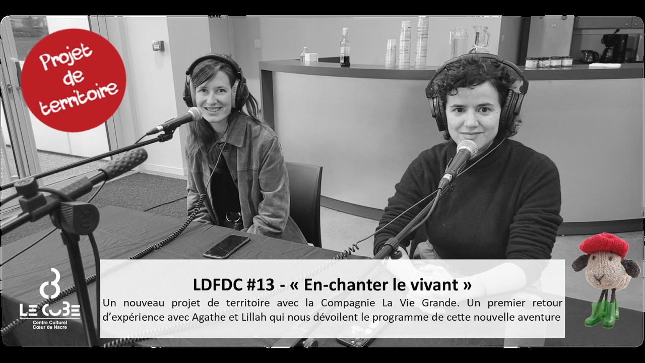 LDFDC #13 - 