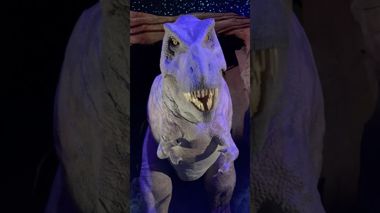 🦖 &iexcl;Prep&aacute;rate para conocer cara a cara al&nbsp;Tyrannosaurus Rex&nbsp;en Dinopolis Teruel