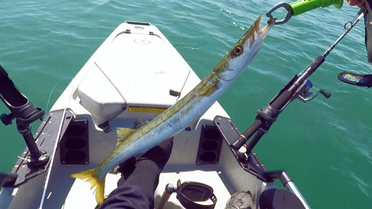 Kayak fishing Limeburners Lagoon Geelong Grammar