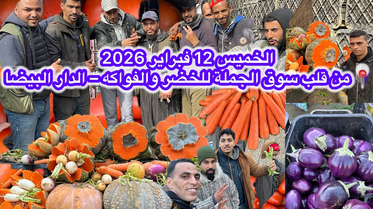 الخميس 12 فبراير 2026📍 من قلب سوق الجملة للخضر والفواكه – الدار البيضاء🌶️🫑🍅🍏🥦🍓🧅🥕🍋🥭🚛