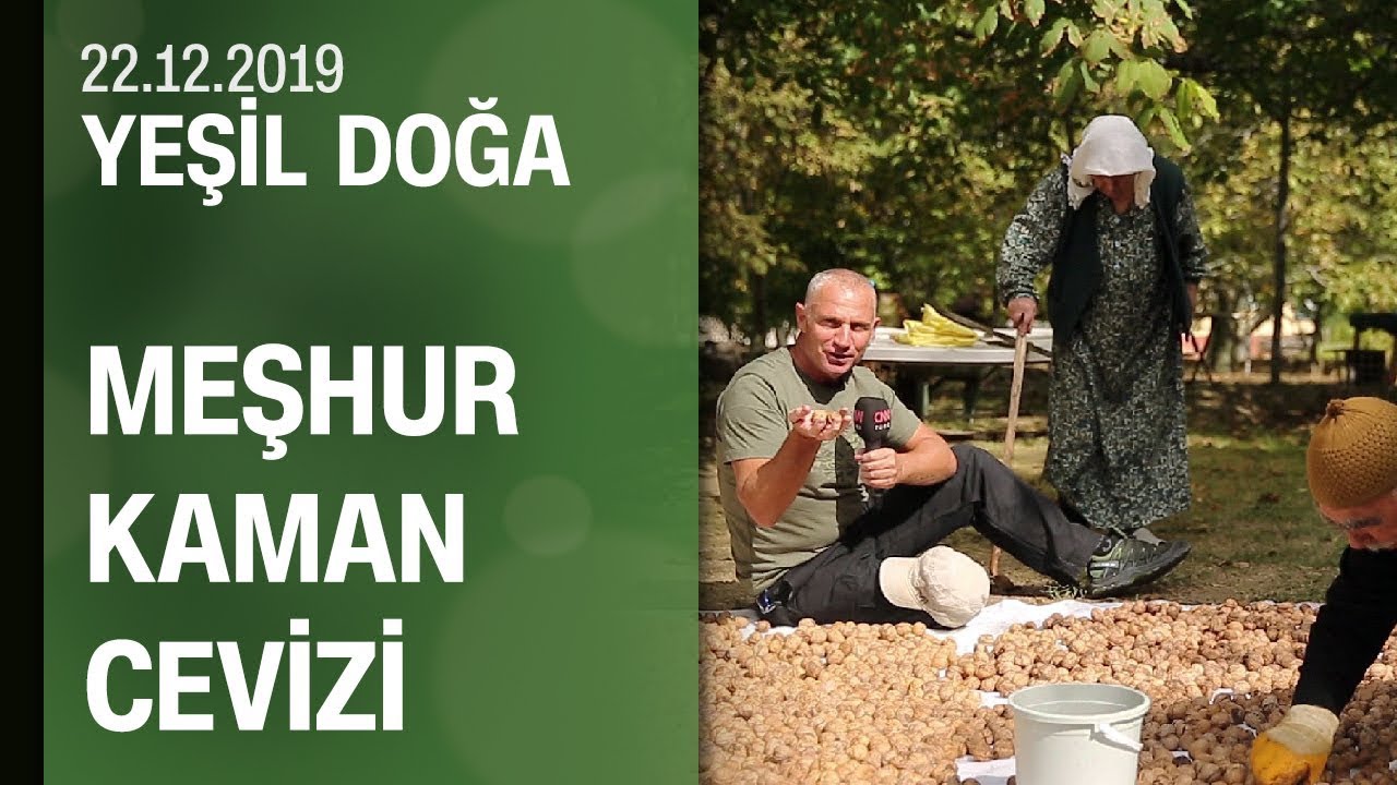 Kırşehir Kaman'ın meşhur cevizi, ceviz hasadı ve festivali - Yeşil Doğa 22.12.2019 Pazar
