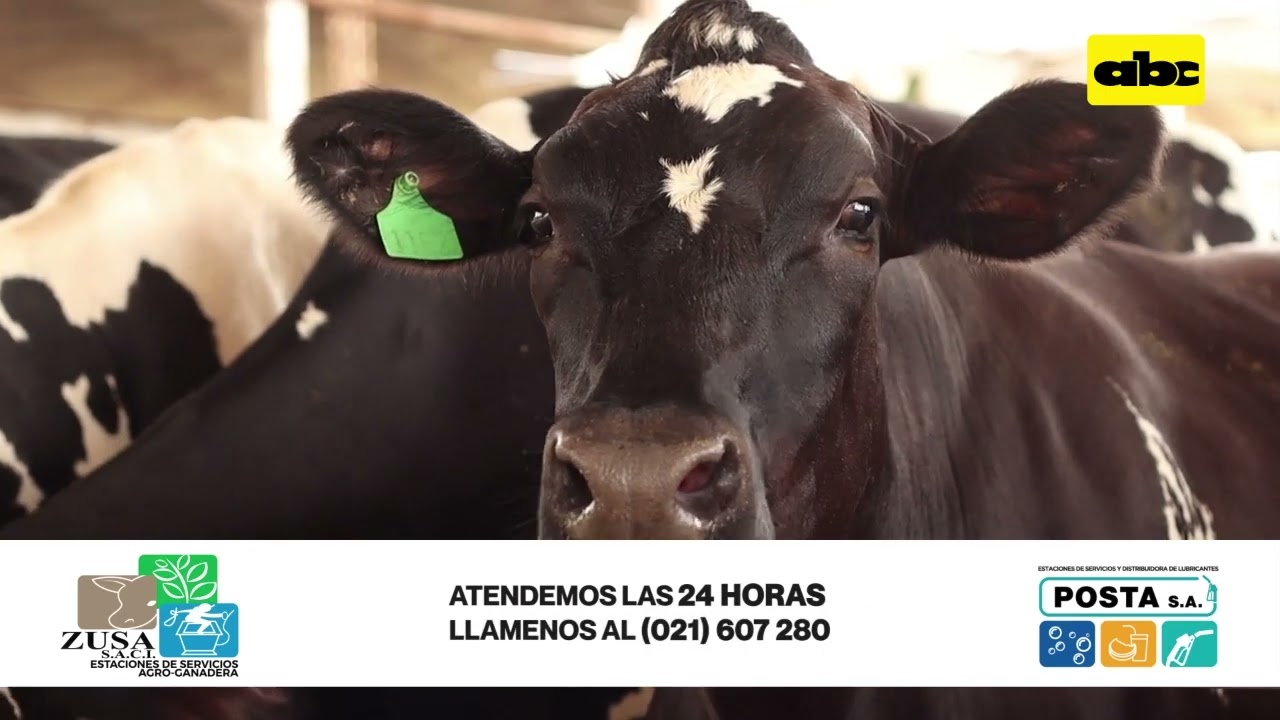 Programa inform&aacute;tico y sus ventajas para el productor lechero