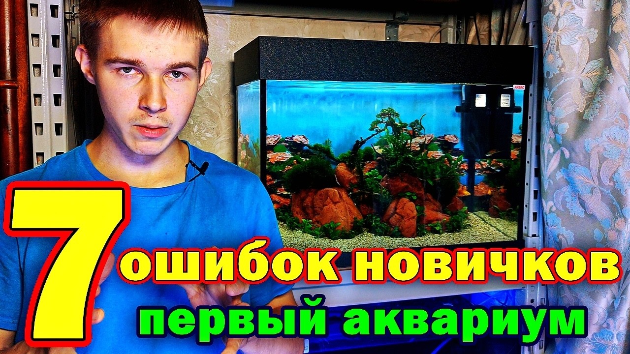 Первый аквариум: 7 ошибок, которые лучше не допускать