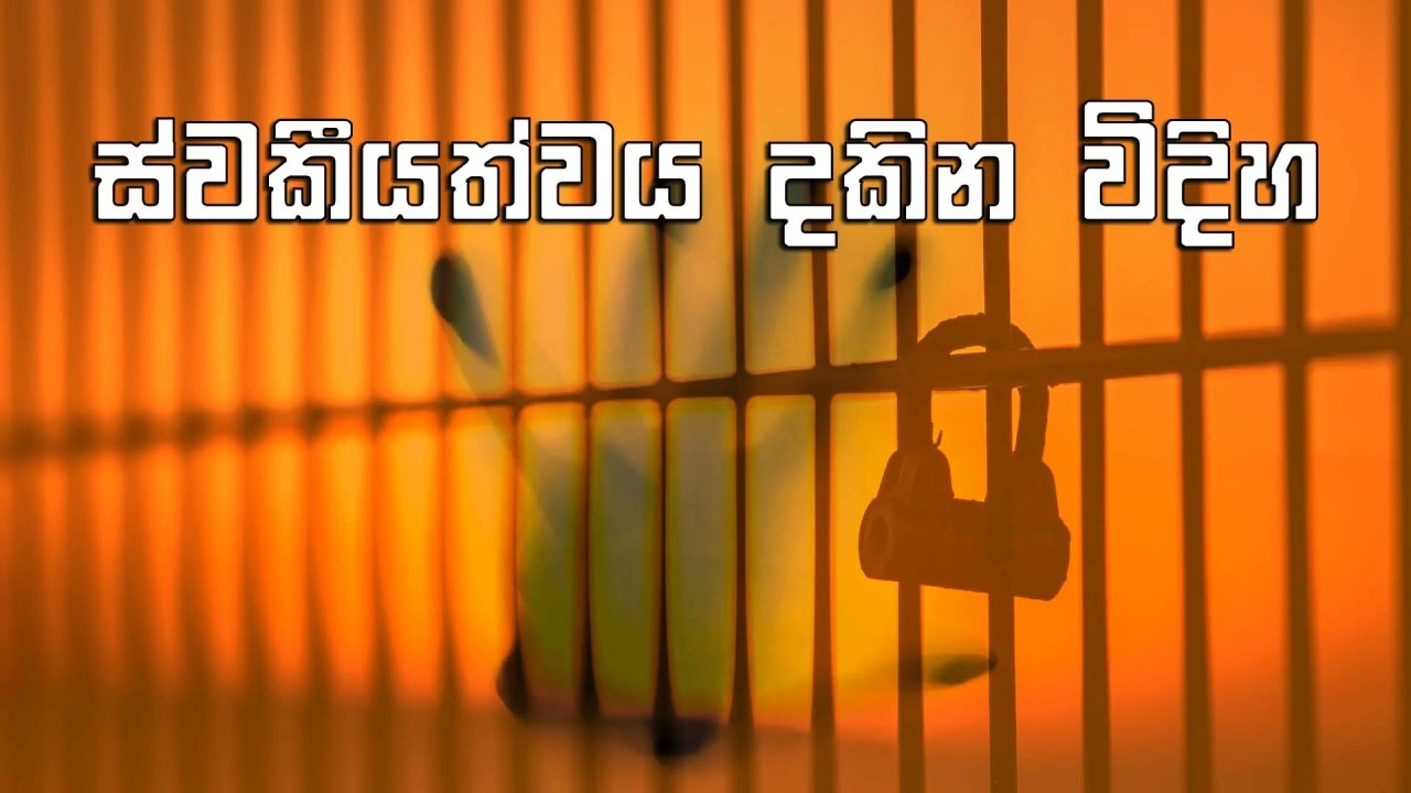 ස්වකීයත්වය දකින විදිහ (පූජ්‍ය අලව්වේ අනෝමදස්සී ස්වාමීන්වහන්සේගේ දේශනාවක් ඇසුරෙන් ......)