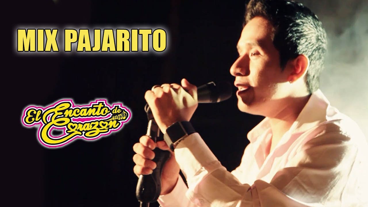 El Encanto de Coraz&oacute;n - Mix Pajarito