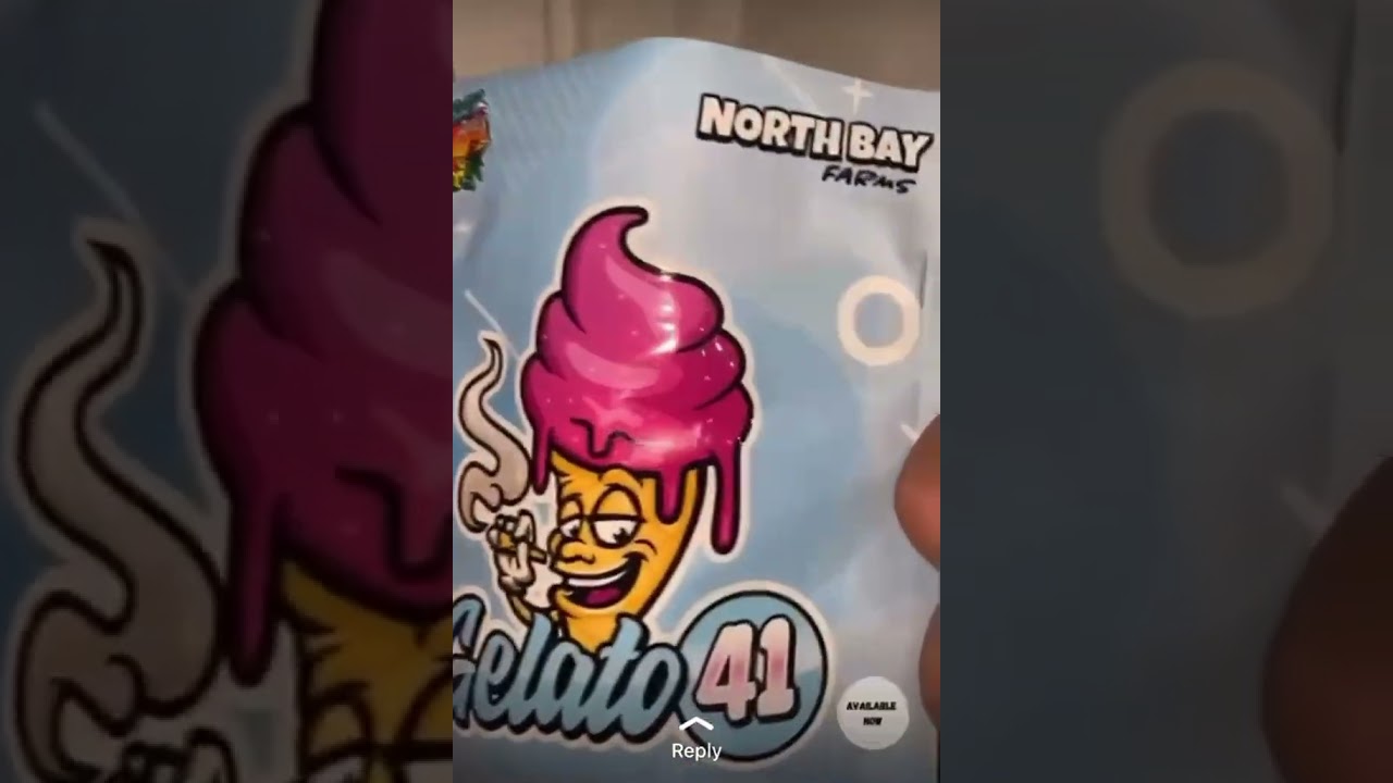 NORTH BAY FARMS (GELATO 41) TOP SHELF CANNABIS FLOWER #gelato41 #cali #topshelf #viral