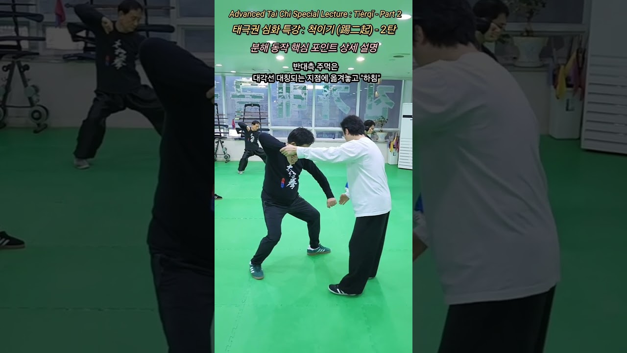 [몰아보기] 