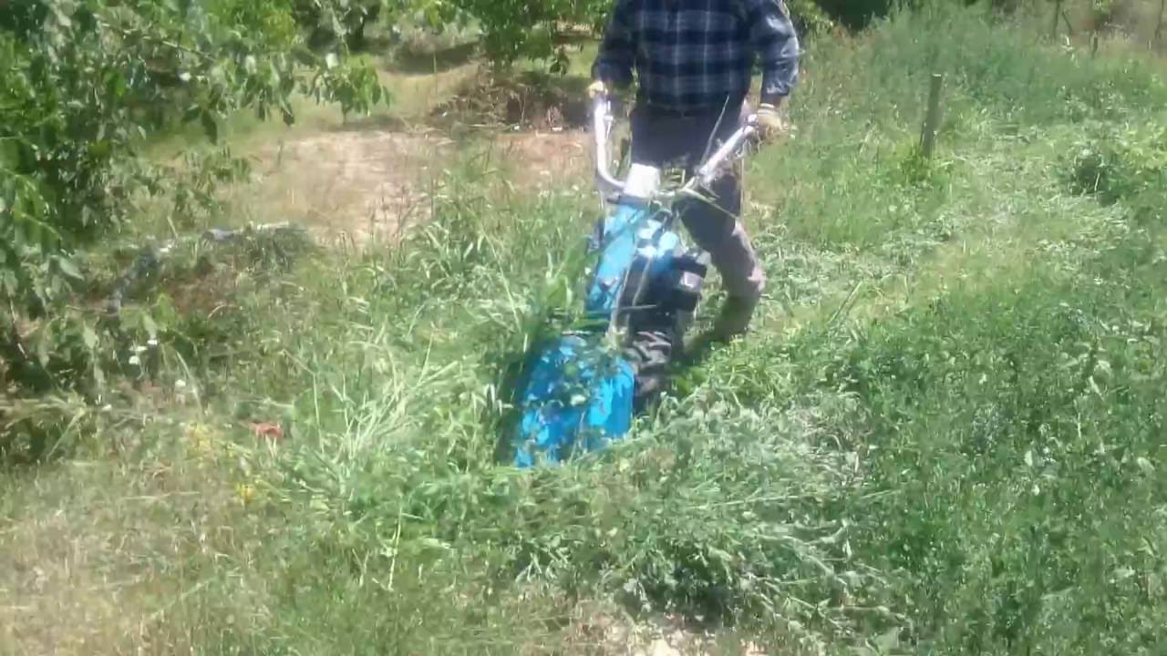 Bertolini Çayır Biçme Makinası Yonca Biçimi Part 2