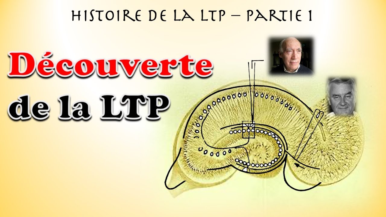 histoire de la LTP  - partie 1 : la d&eacute;couverte