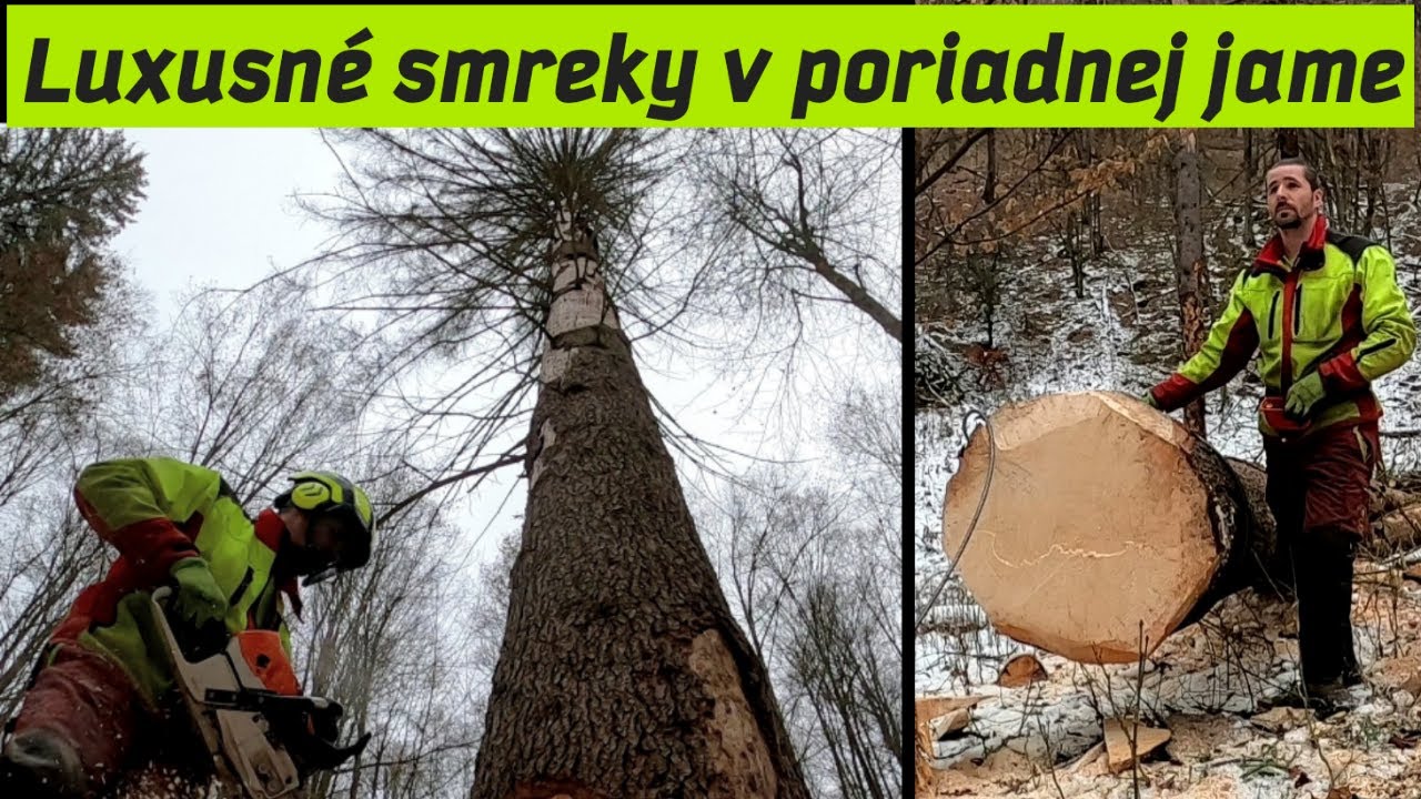 Ťažba smrekov z hlbokej jamy počas dňa, Tree felling,  Forestwork, Chainsaw, Stihl ms 500i, Amles